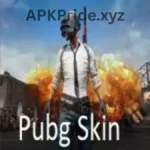 PUBG Skin Injector Logo